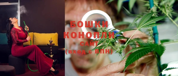 дживик Видное