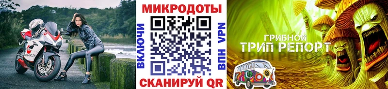 наркотики  Нижнеудинск  Псилоцибиновые грибы MAGIC MUSHROOMS 